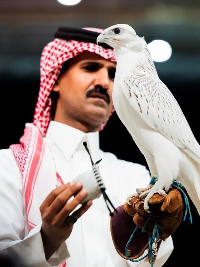 بيع أغلى صقر في المزاد الدولي لمزارع إنتاج الصقور 2026 بـ1.3 مليون ريال