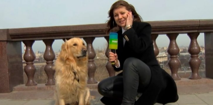 بالفيديو  ..  مراسلة تلفزيونية تتعرض لموقف محرج على الهواء بسبب كلب