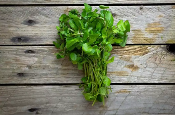 الجرجير والقلب- ماذا يحدث للمصابين به عند تناوله؟