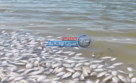 البيئة: أسماك سد الوالة ضمن أخطر 10 أنواع بالعالم