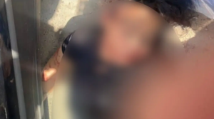  اغتيال بلوغر عراقي شهير ببغداد ..  ووالدته تصرخ فوق جثته