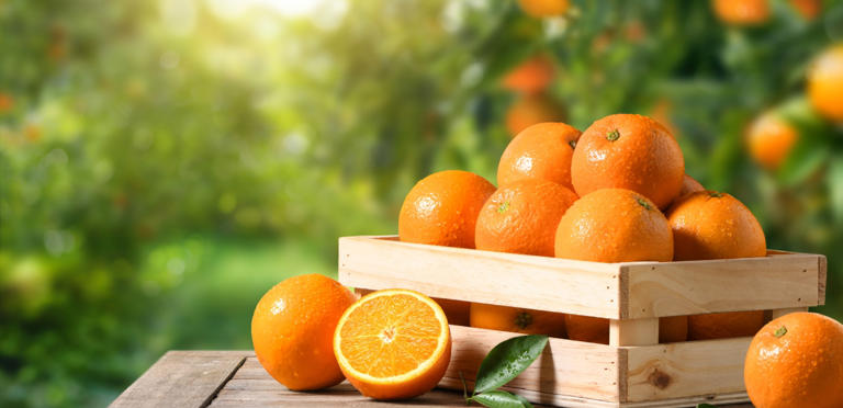 لماذا لا ينصح بتناول البرتقال قبل النوم مباشرة؟