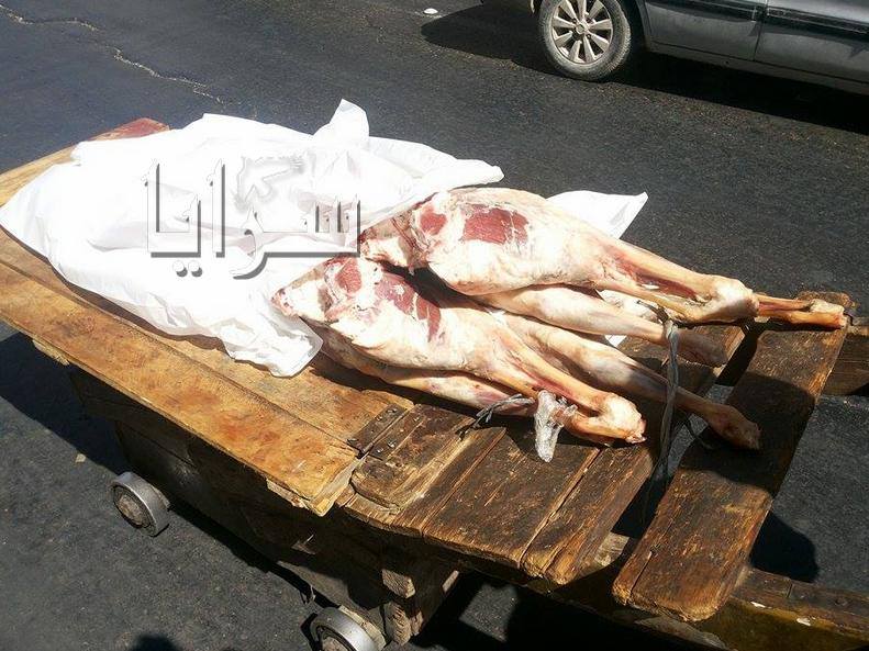 شاهد كيف يتم نقل اللحوم بمنطقة وسط البلد في عمان  ..  صور