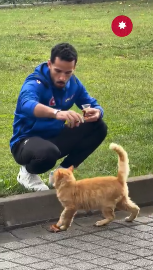 محمود المرضي صاحب القلب الجميل يداعب احد القطط.