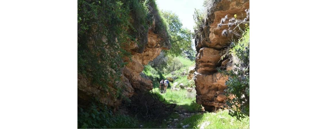 وادي أم النمل شمال الأردن ..  عطور فواحة وطبيعة ساحرة