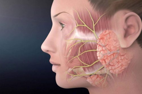 اعراض العصب الخامس وأسبابه والفئات الأكثر عرضه له وعلاجه