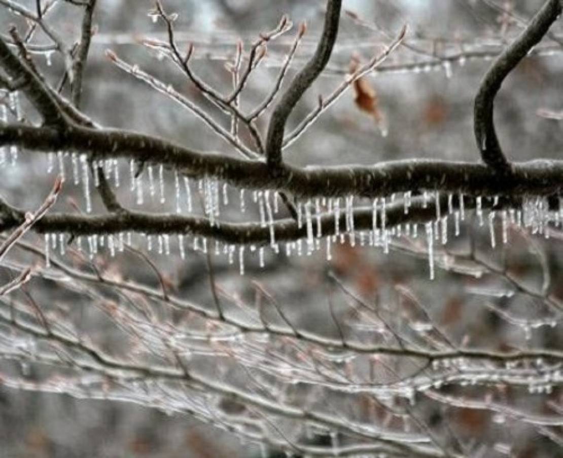  الحرارة صفر الليلة وصقيع في عدة مناطق