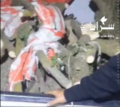 بالفيديو  ..  القبض على معتدٍ مكرر على الثروة الحرجية في عجلون وضبط أحطاب بقيمة 37 ألف دينار