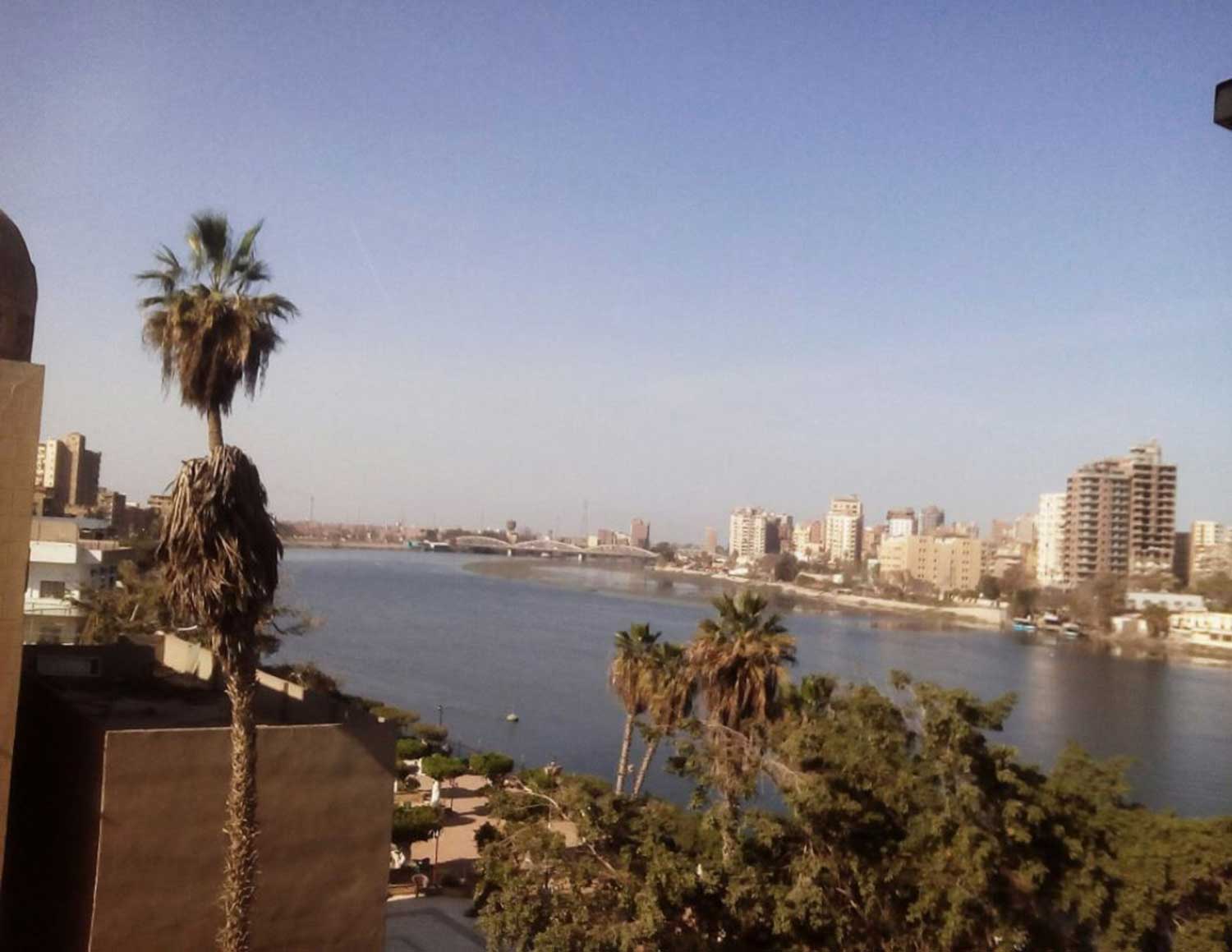 مصر  ..  أنباء عن خروج تمساح من النيل و الأهالي في حالة رعب