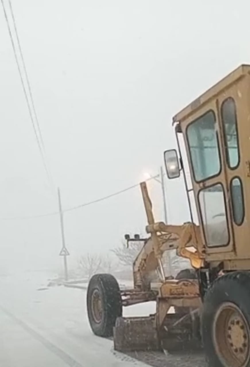 البترا: استمرار التصريحات المتطابقة من عدة دوائر حكومية تثير الانتقادات 