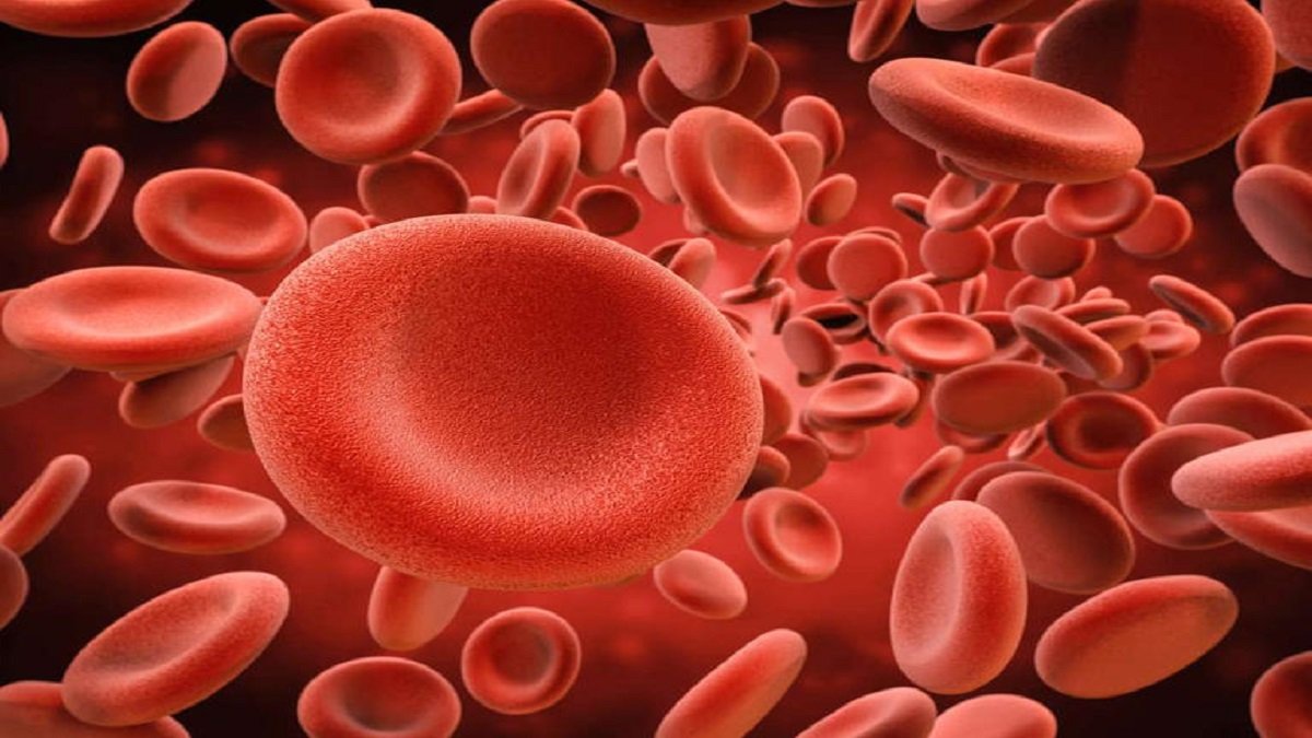 ما علاقة الأواني الحديدية بفقر الدم؟