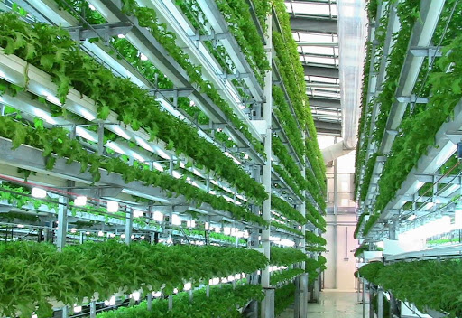 الإقراض الزراعي: قروض بـ64 مليون دينار لـ12880 مزارعا في 2025