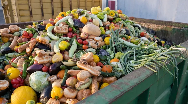 "الأغذية العالمي" يوصي بسياسات وطنية للحد من هدر الغذاء في الأردن #سرايا 