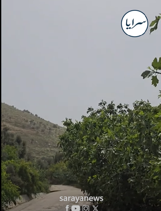 النائب بني ملحم لسرايا:مسارات للمشاة وسيارات كهربائية لخدمة الزوار بوادي الريان ..  فيديو 