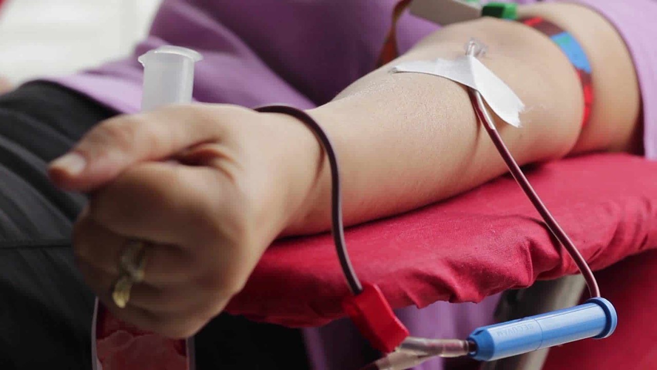 بمناسبة عيد الاستقلال الـ79: حملة وطنية للتبرع بالدم في جميع أقاليم المملكة