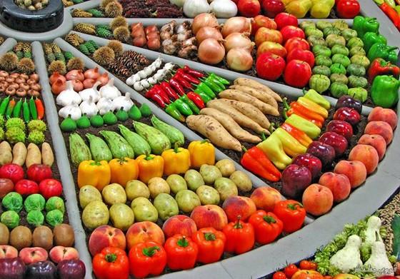 مطالب بتوفير أسواق مخصصة للخضار والفواكه في بصيرا