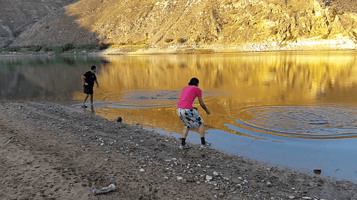 ضبط 500 كغم أسماك غير صالحة للاستهلاك بجرش 