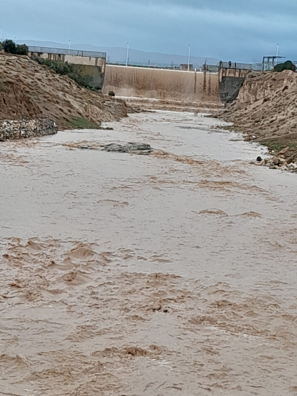 بالفيديو ..  فيضان سدّ البويضة في إربد