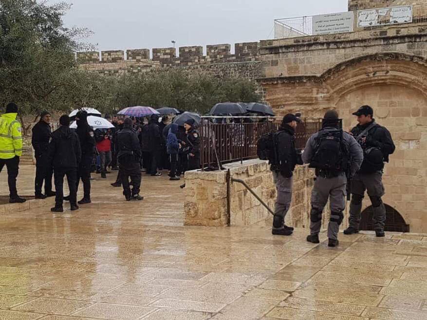 200 مستوطن إسرائيلي يقتحمون الأقصى تحت حراسة شرطة الاحتلال