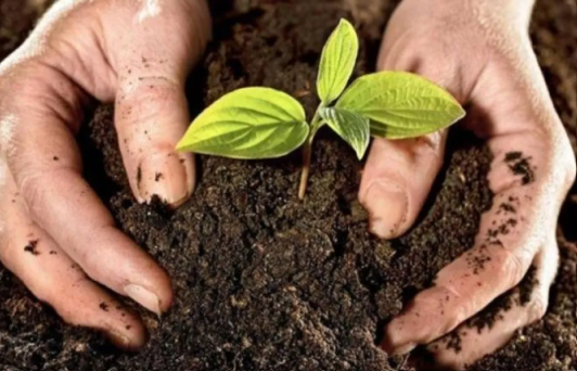 مليار دولار القيمة الإجمالية لإنتاج قطاع صناعة الأسمدة في الأردن