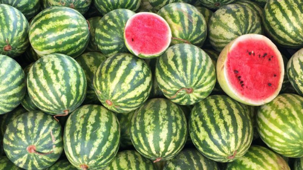 فوائد البطيخ المذهلة ..  فاكهة الصيف السحرية للرجال
