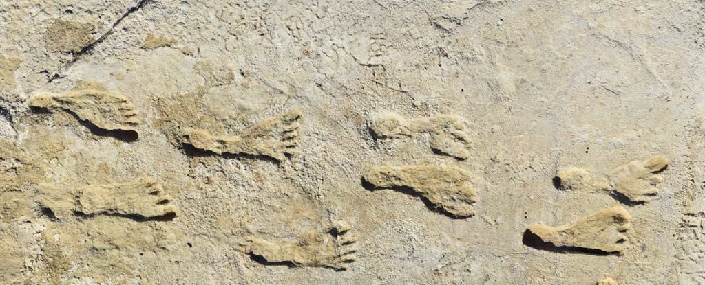 اكتشاف أثر قدم بشرية عمرها أكثر من 21 ألف عام