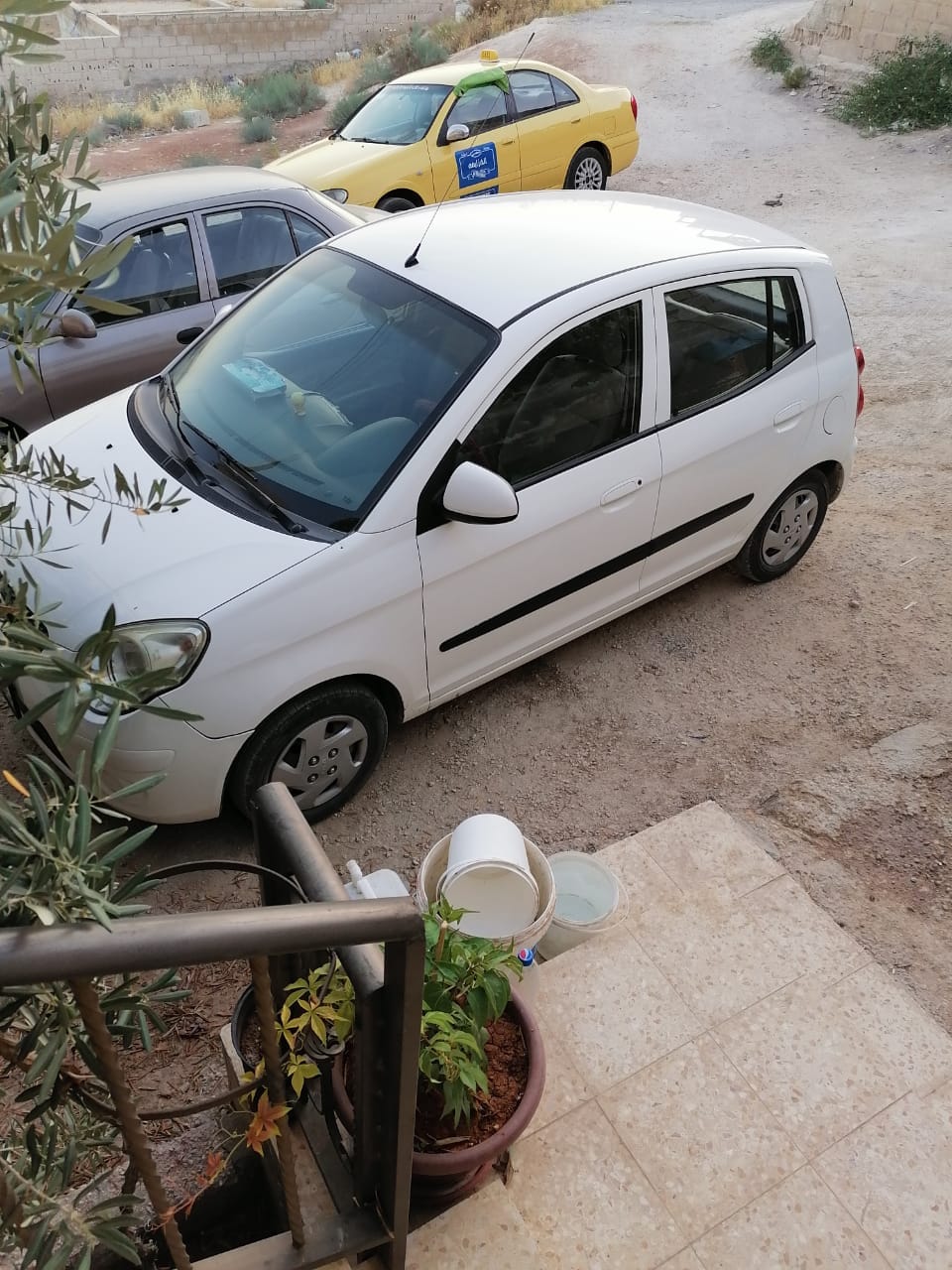 بالصور  ..  كيا بيكانتو 2009 