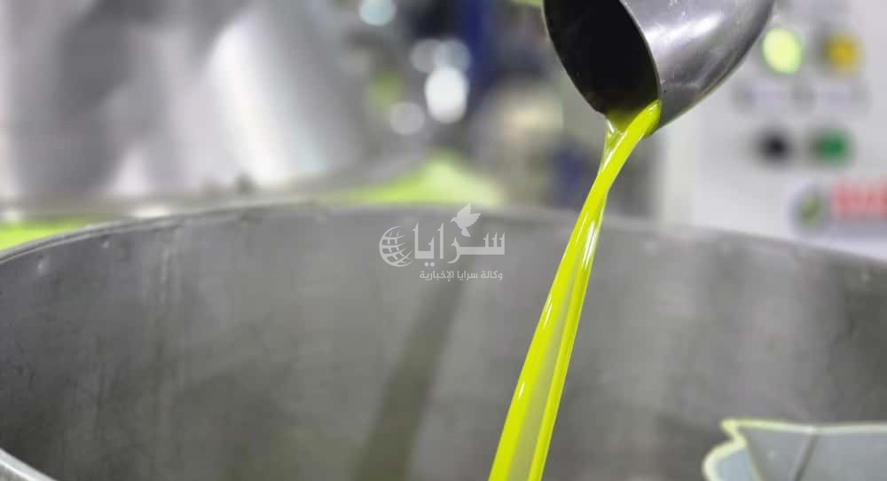 "تنكة الزيت" تقفز إلى 140 ديناراً ..  مزارعو عجلون يواجهون الموسم "الأضعف منذ 40 عاماً" - فيديو