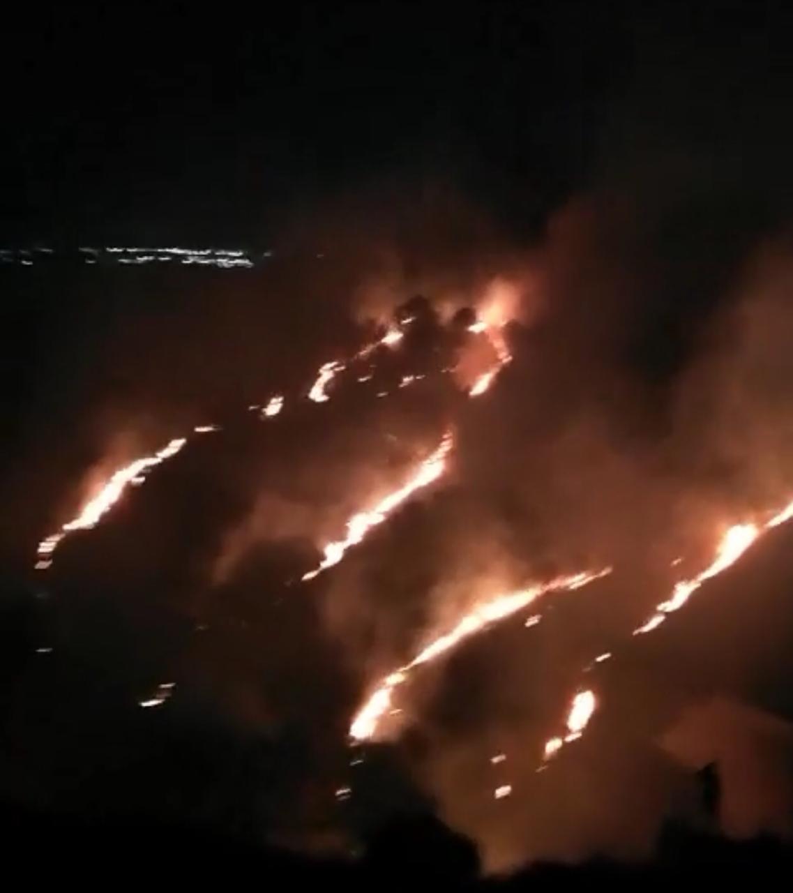 بالصور .. اربد : حريق كبير يلتهم مساحات واسعة من احراش منطقة فوعرا