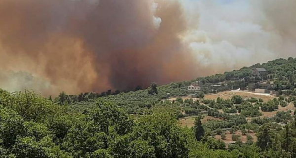 عجلون: استعدادات وقائية لمواجهة حرائق الغابات