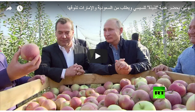 بالفيديو :بوتين يحضر هدية "لذيذة" للسيسي ويطلب من السعودية والإمارات تذوقها