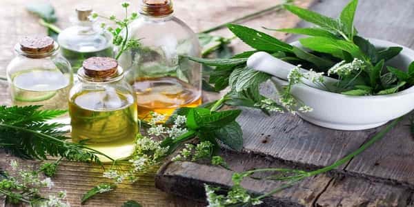 فوائد زيت النمل للمنطقة الحساسة