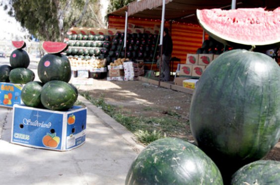 بدء استقبال الحصول على تصاريح بيع البطيخ و الشمام في عمان