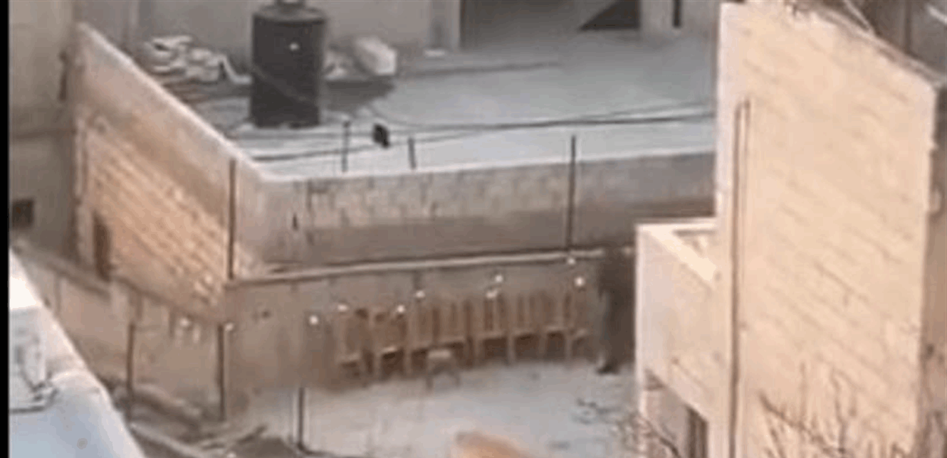 بالفيديو ..  جندي إسرائيلي يخرّب منزل طفل فلسطيني محرّر