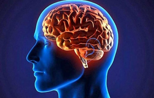  كيف يمكن زيادة الدوبامين في الدماغ؟