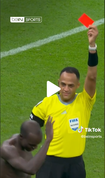 سجل هدف وطُرد !  ..  لقطة طريفة من مباراة البرازيل والكاميرون في كأس العالم (فيديو)