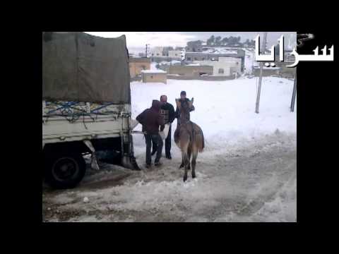 محاصرون بالثلوج ينقلون الطحين على الدواب