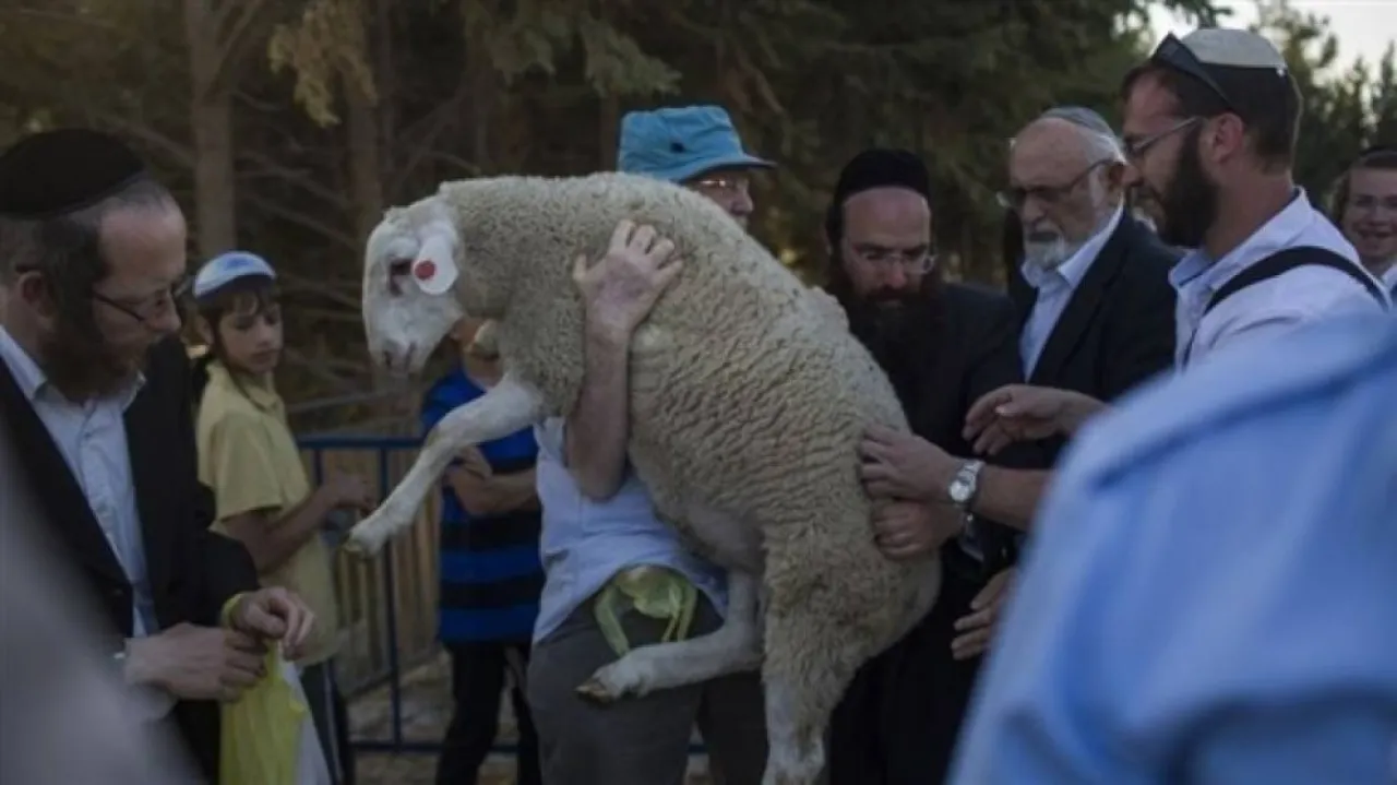 الأعلى منذ 1967 ..  سبع محاولات لإدخال قرابين للمسجد الأقصى