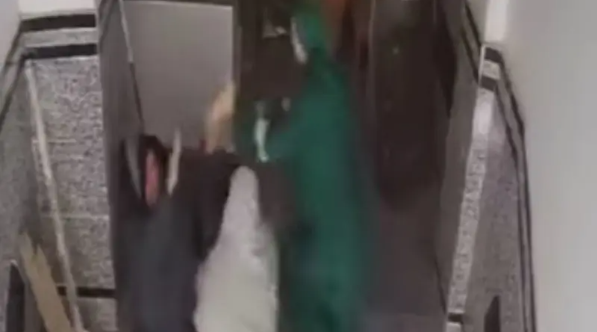 قرار بحبس الزوجة التي ضربت وسحلت حماتها بمصر يثير ضجة على التواصل