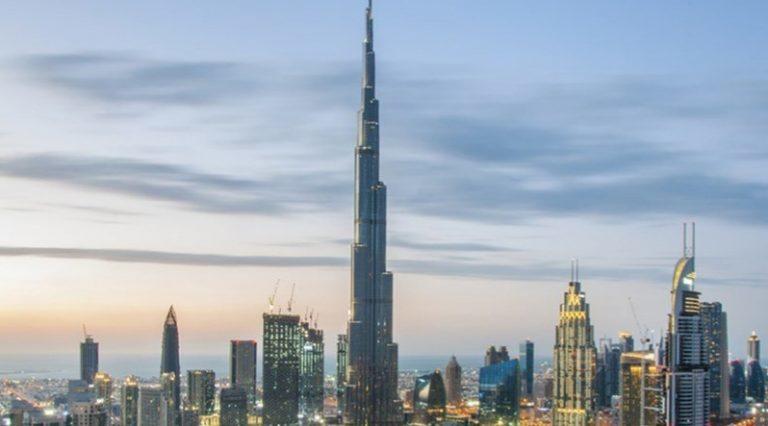 سكان دبي يرصدون العنكبوت الأحمر السام