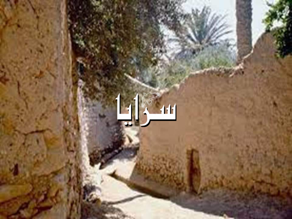 بالصور  ..  القرية الشامية في معان أرث حضاري تتحول الى مكرهة صحية بسبب الاهمال 