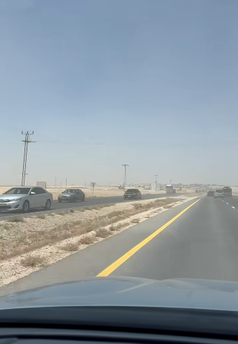 دراسة قديمة تعود إلى الواجهة بعد منشورٍ للزميل الخالدي: تشجير الطريق الصحراوي قد يجلب 800 مليون دولار سنويًا للأردن