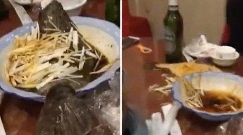 بالفيديو ..  سمكة تعود للحياة بعد طهيها بمطعم صيني
