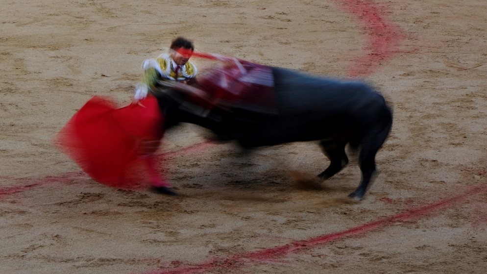 في تحول ثقافي ..  إسبانيا تلغي الجائزة الوطنية لمصارعة الثيران