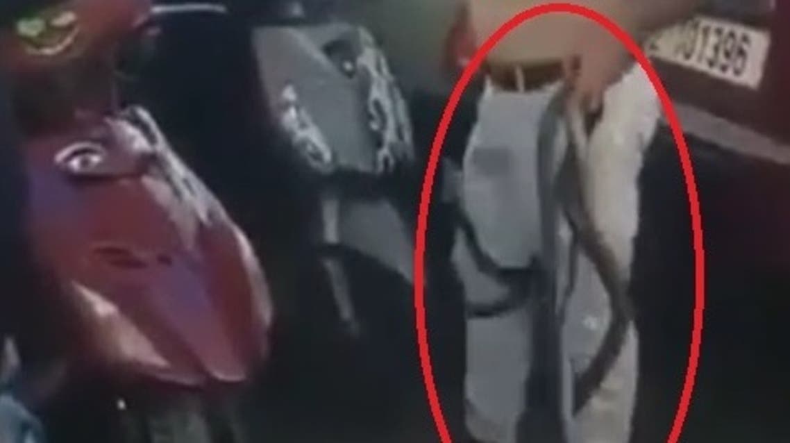 فيديو صادم من لبنان ..  يهدد بـ"الأفاعي" مقابل الوقود