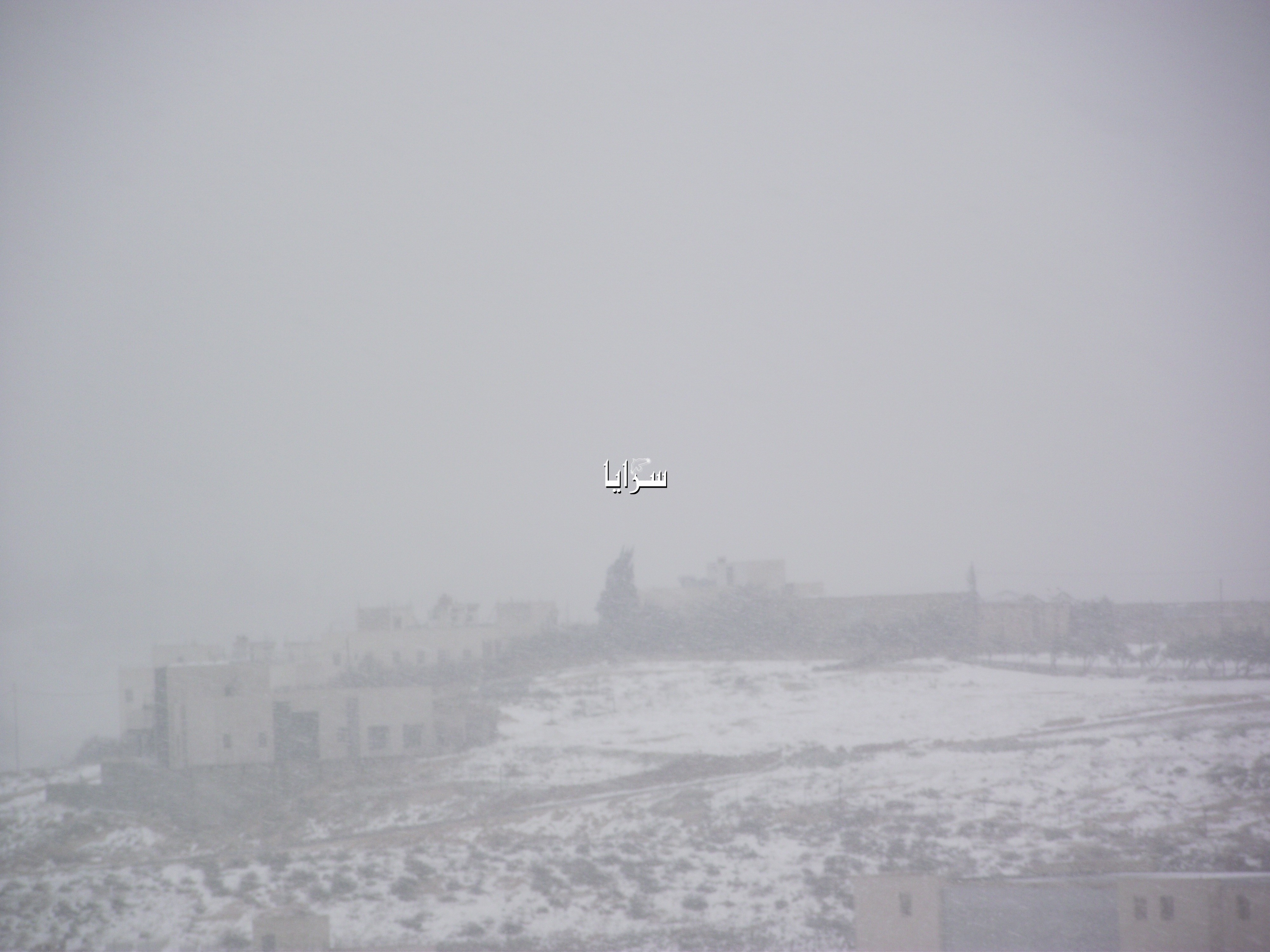 بالصور  ..  تجدد تساقط الثلوج في  العاصمة عمان   ..  و تحذيرات من موجة صقيع  غير مسبوقة