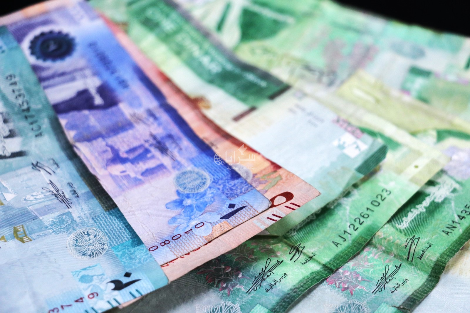 مصدر في ضريبة الدخل لـ "سرايا": صرف رديات ضريبة الدخل لعام 2023 قبل نهاية الشهر