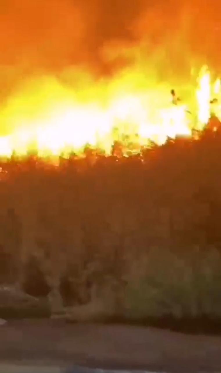 بالفيديو ..  حريق بالقرب من حدائق الملك عبدالله في اربد