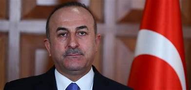 وزير خارجية تركيا يؤكد وقف إطلاق النار