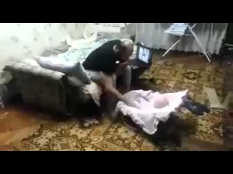 بالفيديو ..  رد فعل قطة شاهدت أب يضرب طفلته أمامها !